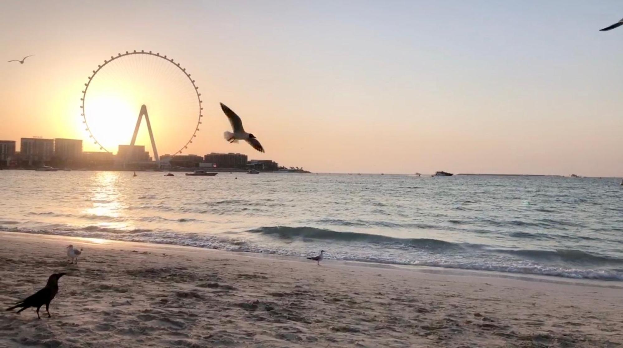 Jbr Beachfront Luxe Apartment All Rooms Sea Facing Dubaï Extérieur photo